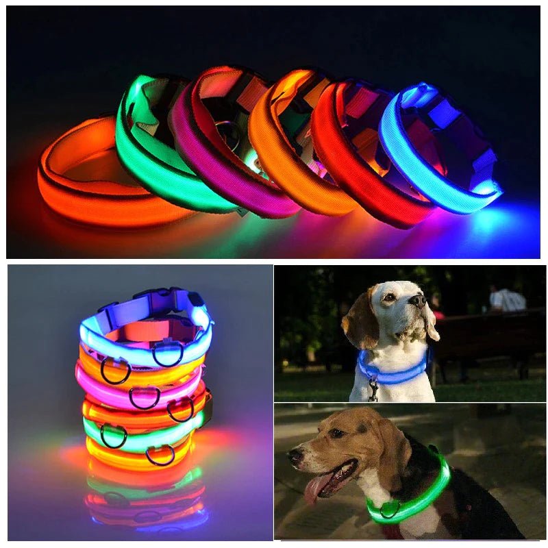 LED Adjustable Dog Collar Blinking Flashing Light up Glow Pets Safety Waterproof - LUCKY FIG