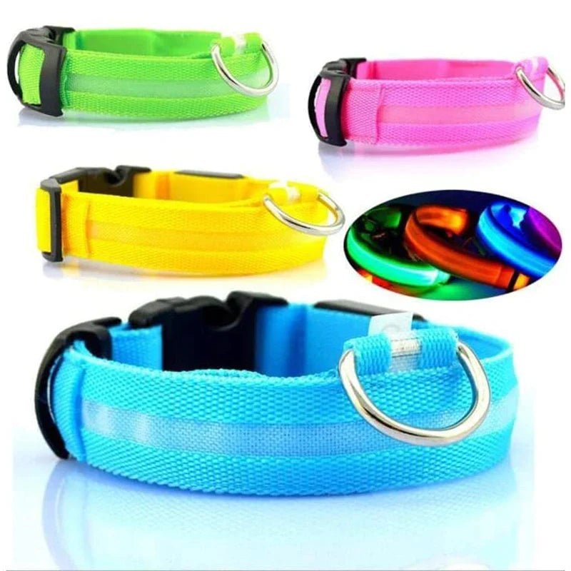 LED Adjustable Dog Collar Blinking Flashing Light up Glow Pets Safety Waterproof - LUCKY FIG