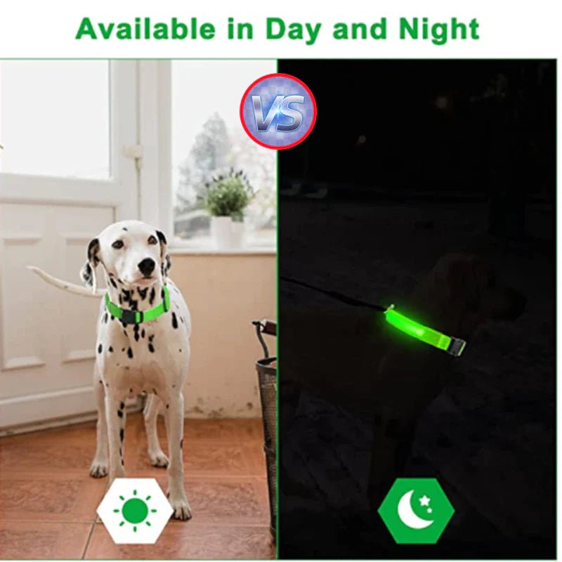 LED Adjustable Dog Collar Blinking Flashing Light up Glow Pets Safety Waterproof - LUCKY FIG