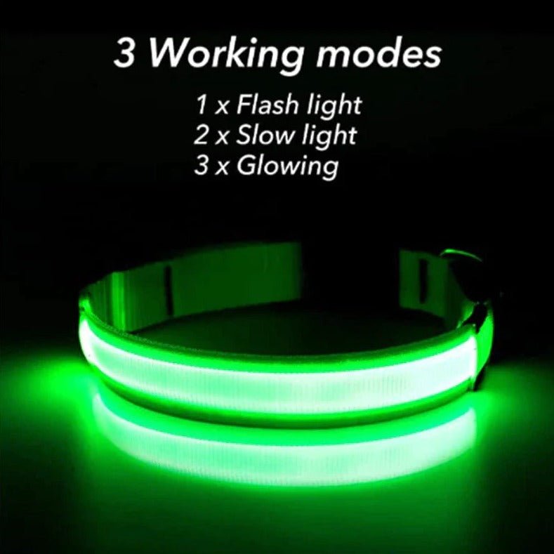 LED Adjustable Dog Collar Blinking Flashing Light up Glow Pets Safety Waterproof - LUCKY FIG