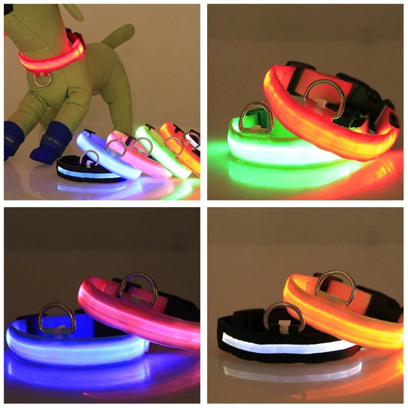 LED Adjustable Dog Collar Blinking Flashing Light up Glow Pets Safety Waterproof - LUCKY FIG