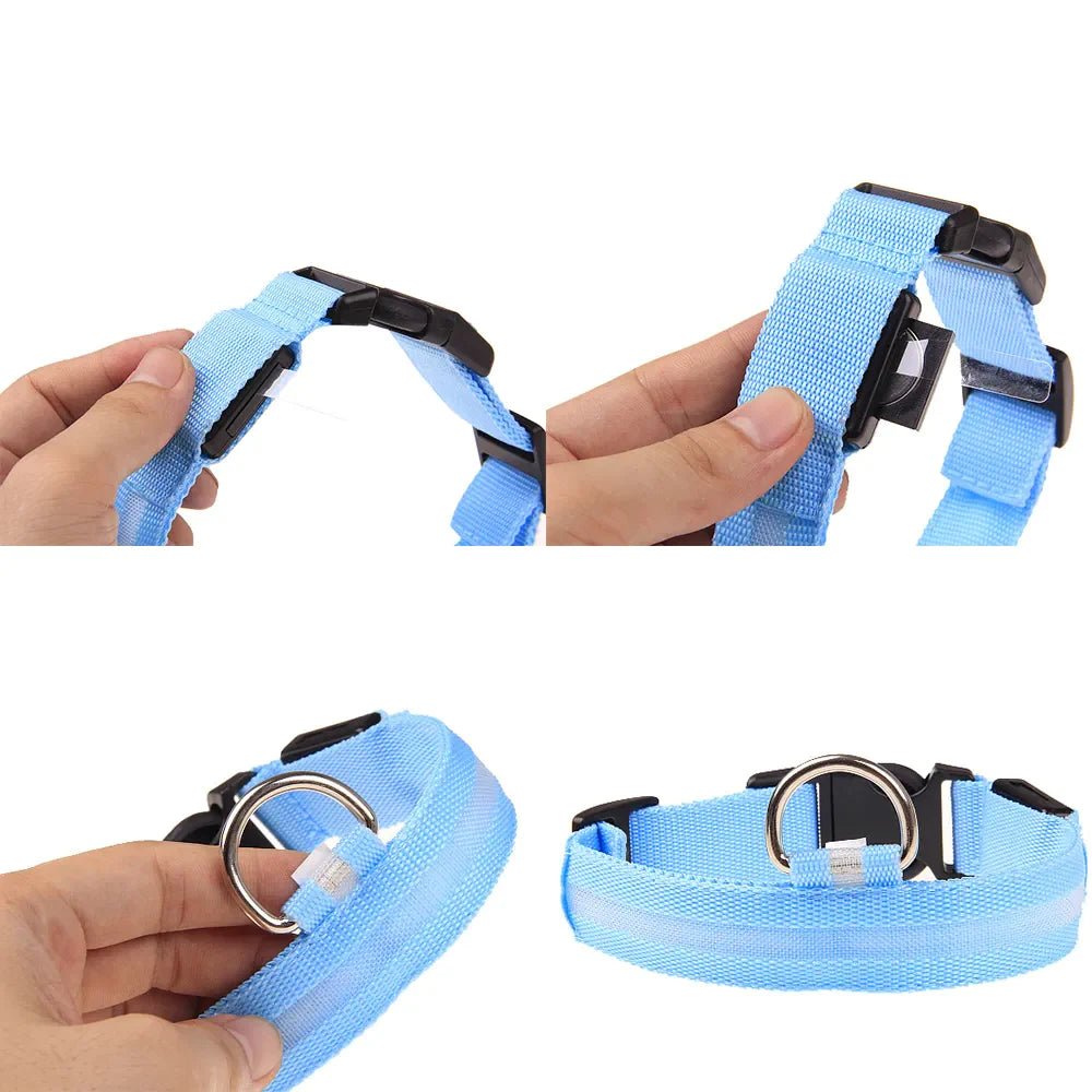 LED Adjustable Dog Collar Blinking Flashing Light up Glow Pets Safety Waterproof - LUCKY FIG