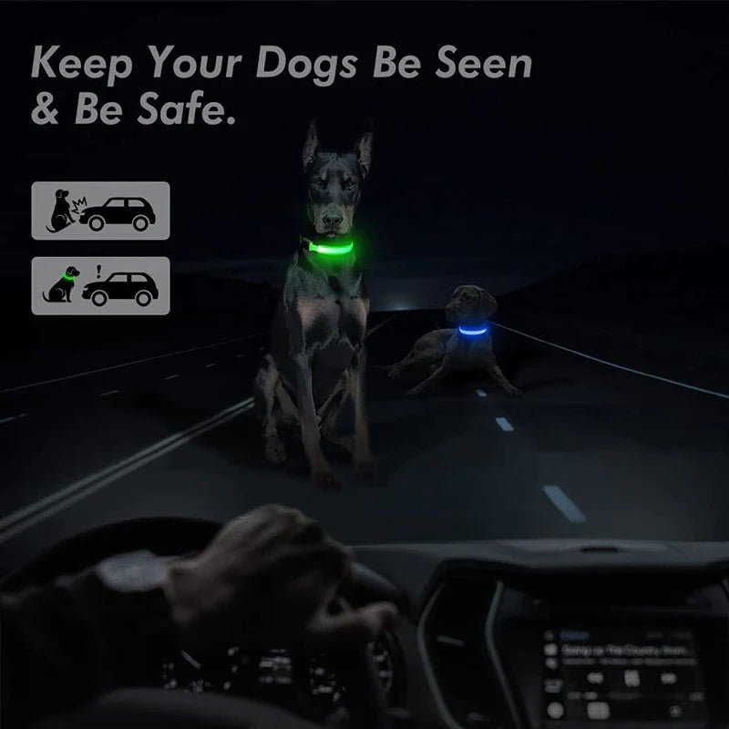 LED Adjustable Dog Collar Blinking Flashing Light up Glow Pets Safety Waterproof - LUCKY FIG
